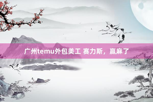 广州temu外包美工 赛力斯，赢麻了