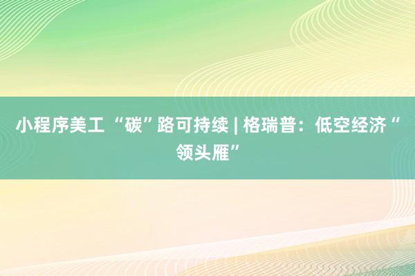 小程序美工 “碳”路可持续 | 格瑞普：低空经济“领头雁”