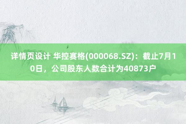 详情页设计 华控赛格(000068.SZ)：截止7月10日，公司股东人数合计为40873户